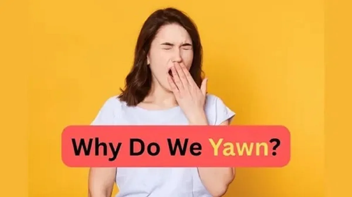 چرا خمیازه میکشیم؟ علم شگفتانگیز پشت این واکنش روزمره