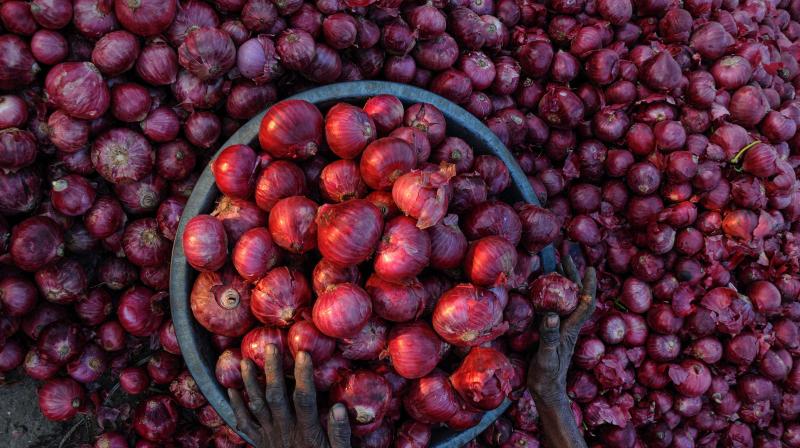 دومین کاندا اکسپرس با 840 تن پیاز به چنای رسید