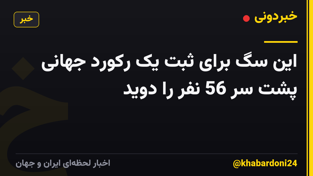 این سگ برای ثبت یک رکورد جهانی پشت سر 56 نفر را دوید