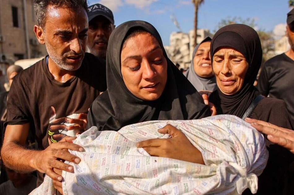 Gaza Martyrs has increased to 73,456 - خبرگزاری صدای افغان(آوا)