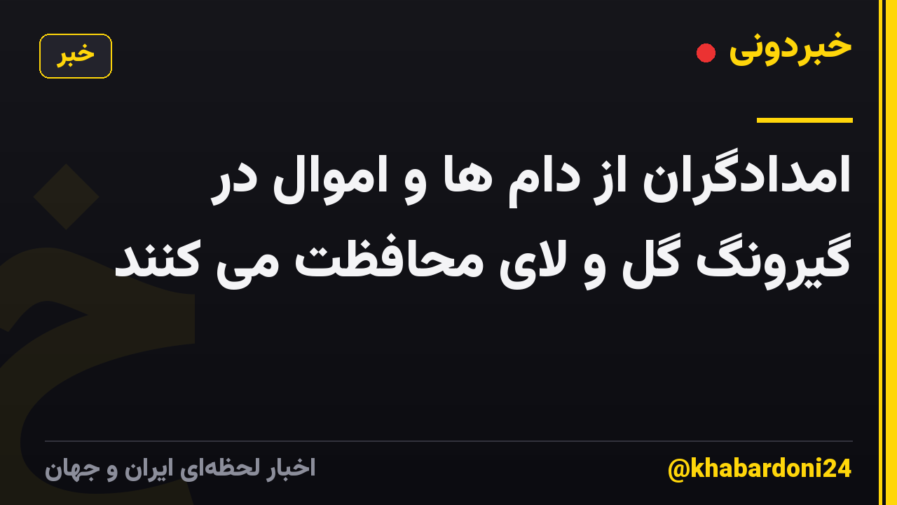 امدادگران از دام ها و اموال در گیرونگ گل و لای محافظت می کنند