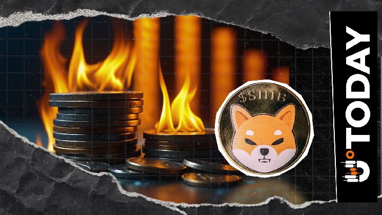 فقط 3.59 میلیون SHIB در شروع آهسته سپتامبر سوخت