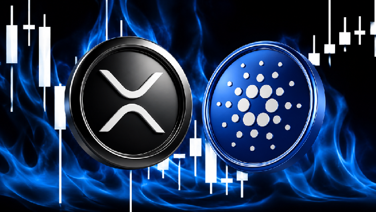تحلیلگر باتجربه ادعا می کند که یک سیگنال صعودی برای Cardano (ADA) و Ripple (XRP) وجود دارد.