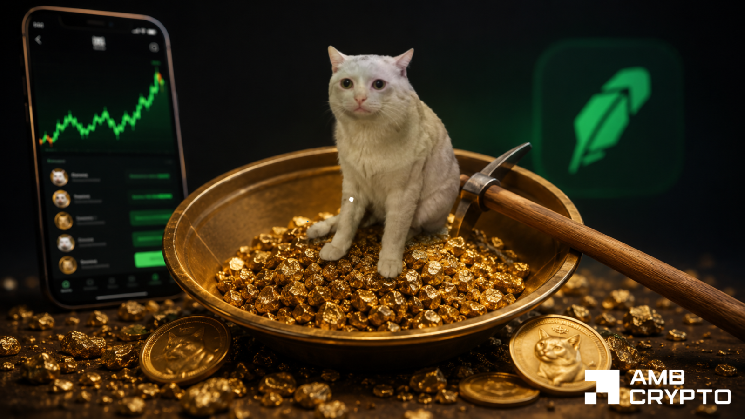 ارزیابی افزایش 29 درصدی Cash Cat در حالی که انحلال ها به 611 هزار دلار رسیده است: بعدی چیست؟