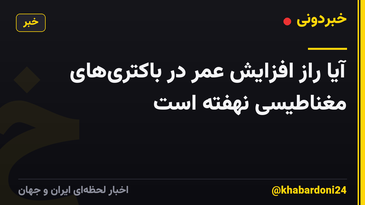 آیا راز افزایش عمر در باکتریهای مغناطیسی نهفته است