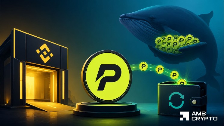 PONS روی بایننس آلفا فرود میآید – آیا بازخرید 80 درصدی آن میتواند فروش نهنگ را جذب کند؟