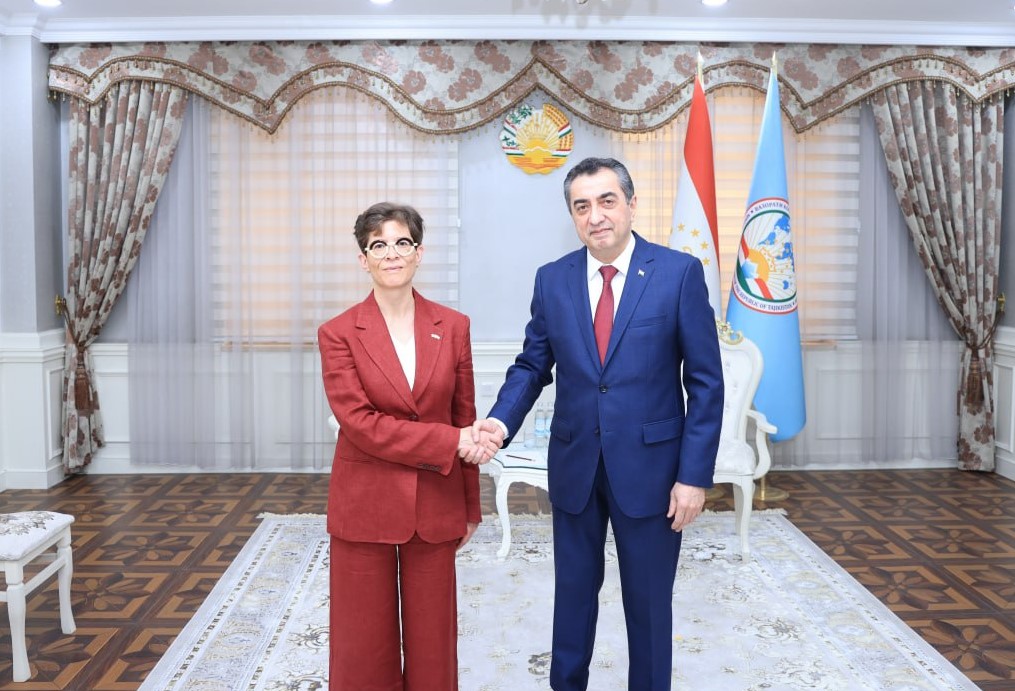 تاجیکستان و فنلاند در مورد روابط دوجانبه و مشارکت اتحادیه اروپا گفتگو کردند