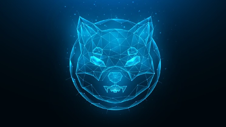 +103٪ در Shiba Inu (SHIB) مهمترین معیار در 24 ساعت: آیا می تواند روز را نجات دهد؟