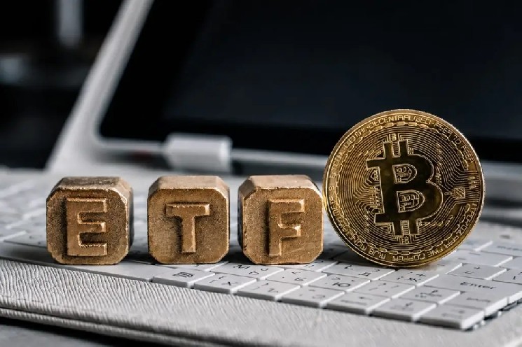 صندوق های ETF بیت کوین شاهد هجوم بی سابقه ای از سرمایه هستند - این چیزی است که باید بدانید