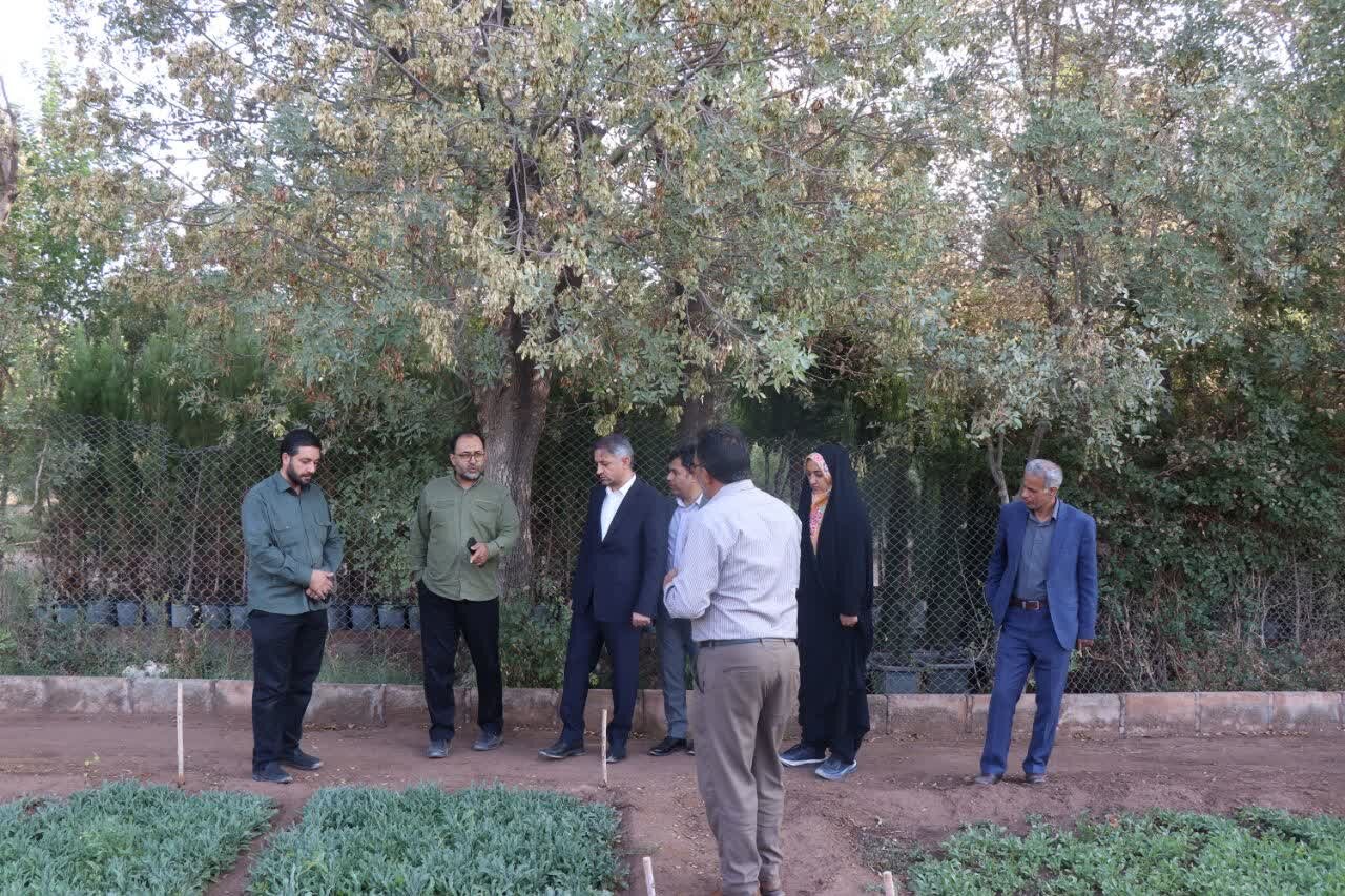 تاکید شورای شهر کرمان بر توسعه فضای سبز و تولید نهال