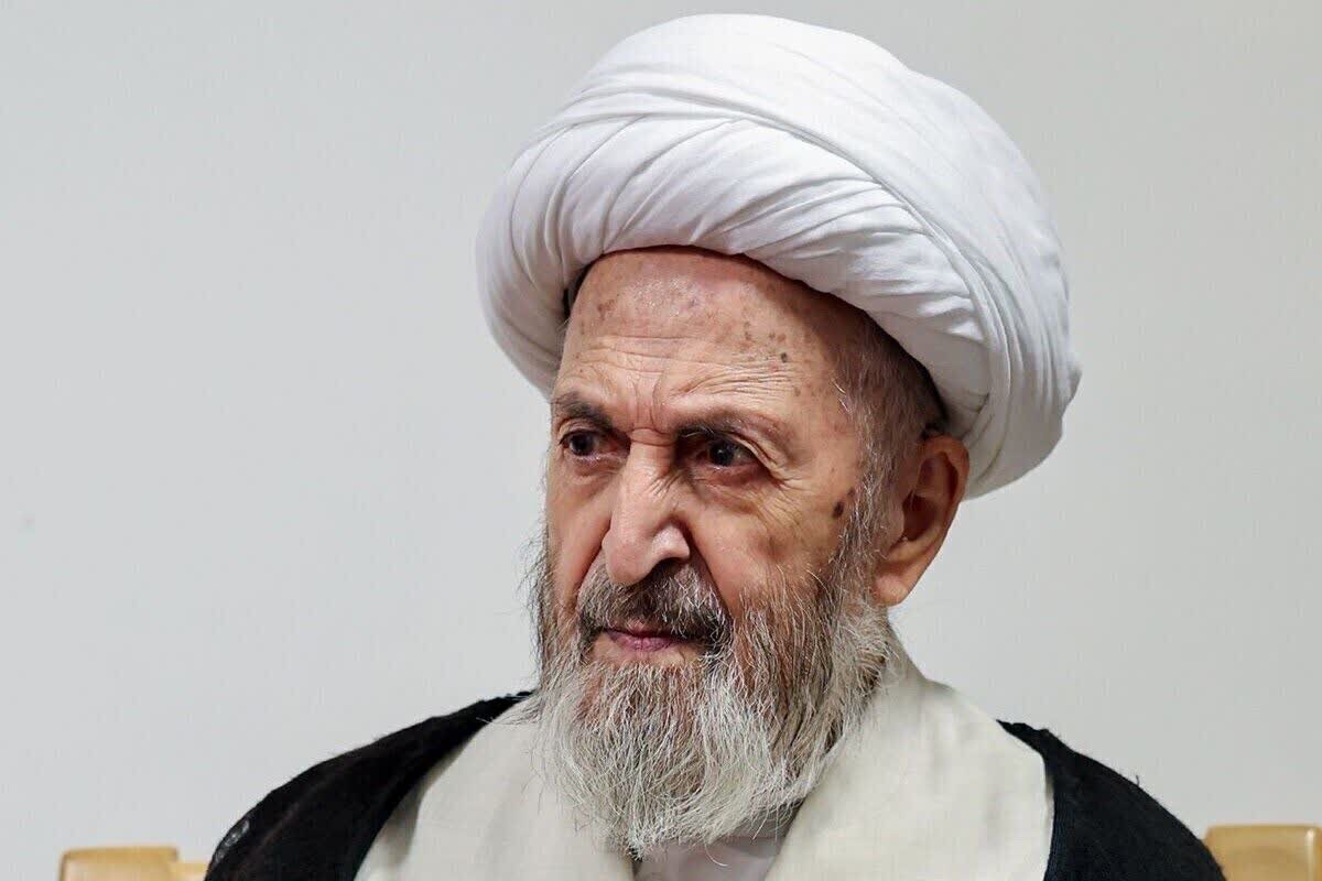درخواست آیت الله سبحانی درباره کاهش تعطیلی حوزه ها/ حوزه ما نباید در یک منطقه جامد باشد