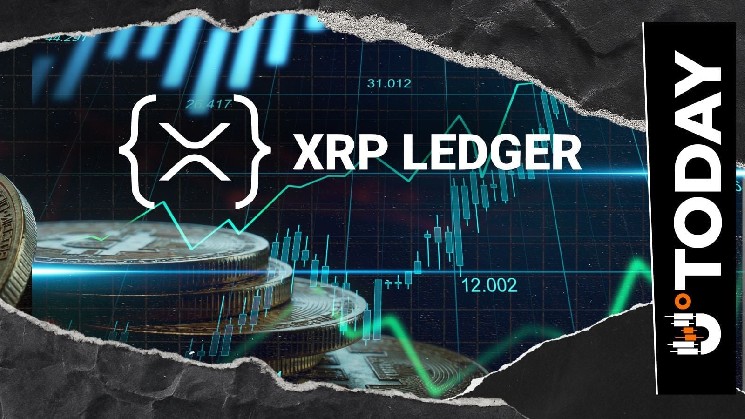 مدیر عامل Ripple در تست BIS XRP Ledger تعجب نکرد