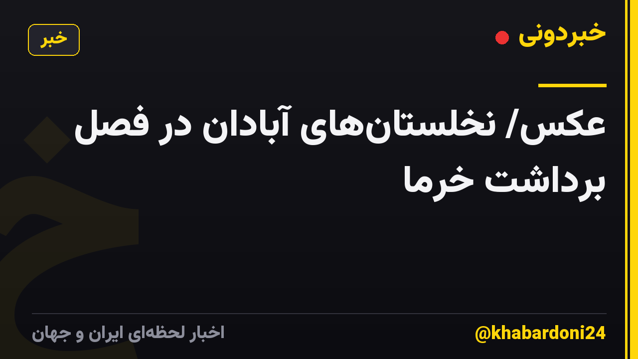 عکس/ نخلستان‌های آبادان در فصل برداشت خرما