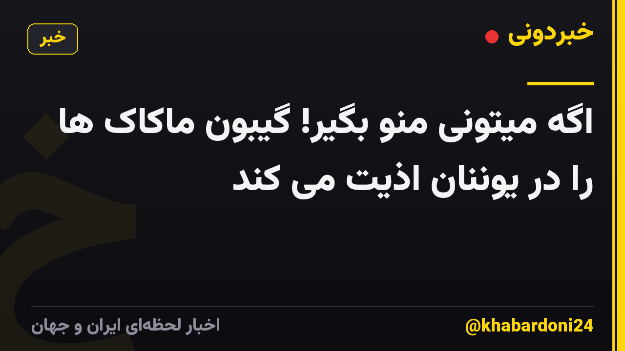 اگه میتونی منو بگیر! گیبون ماکاک ها را در یوننان اذیت می کند