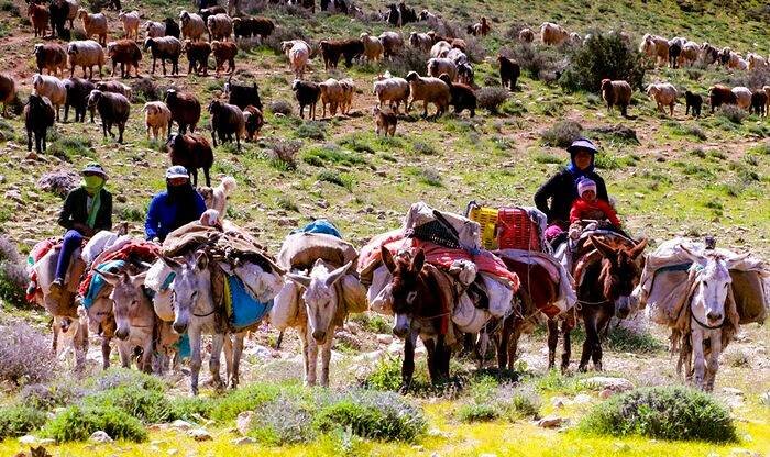پیشنهاد راهاندازی «گردشگری عشایرمحور» در کشور/ بروجرد پایلوت ملی شود