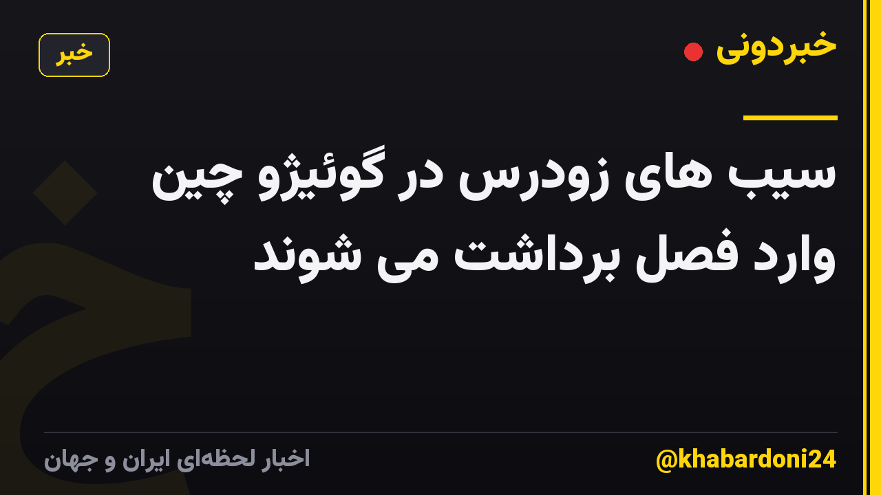 سیب های زودرس در گوئیژو چین وارد فصل برداشت می شوند