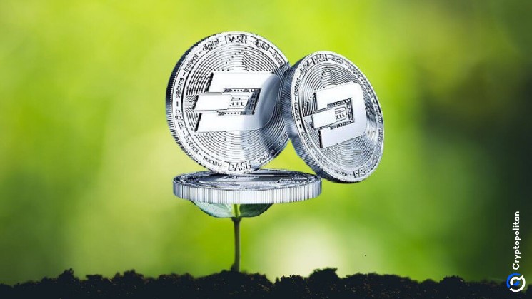 پیش بینی قیمت داش 2026-2032: آیا DASH به زودی بهبود می یابد؟