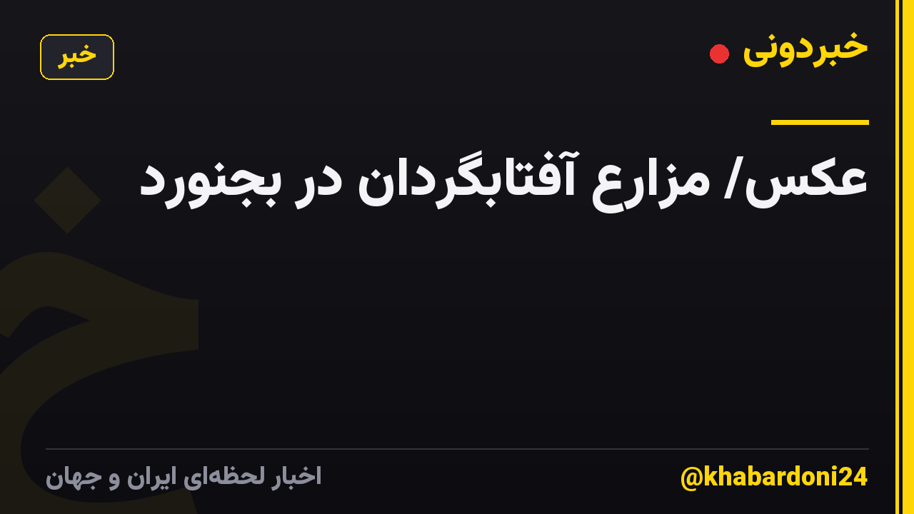 عکس/ مزارع آفتابگردان در بجنورد