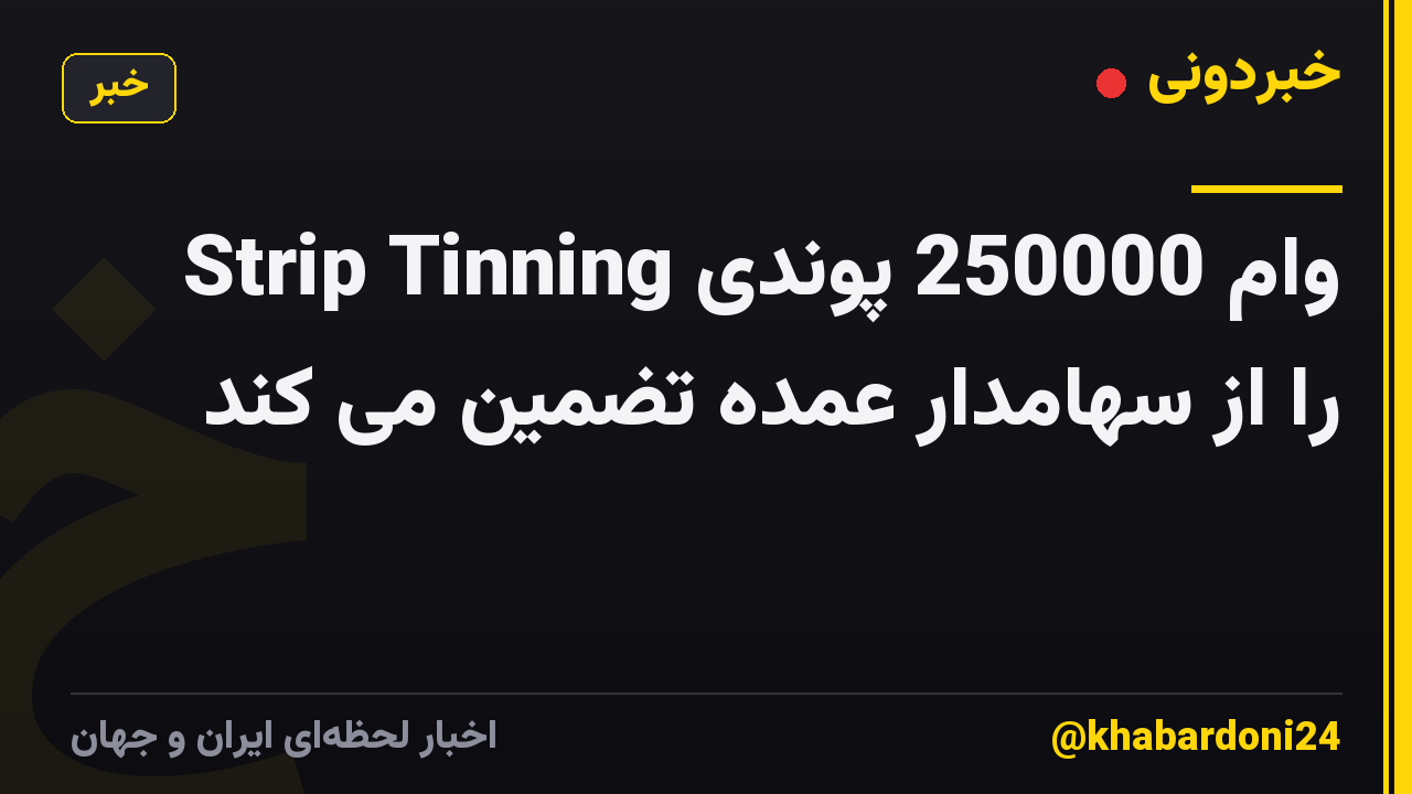 Strip Tinning وام 250000 پوندی را از سهامدار عمده تضمین می کند