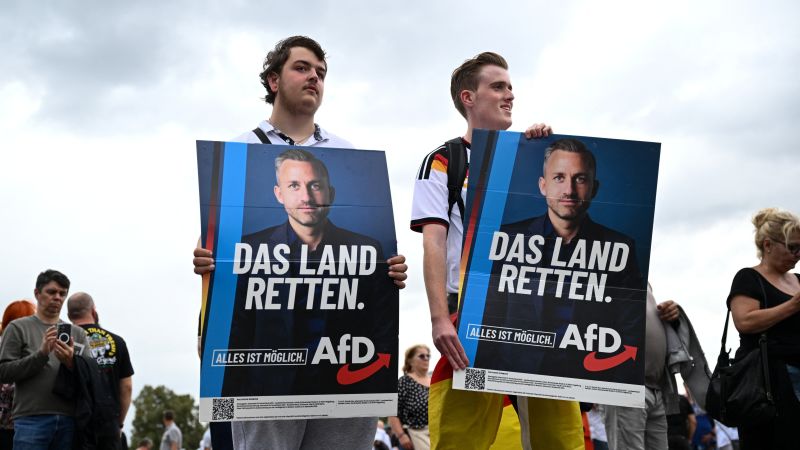اخراج دسته جمعی و مدارس جداگانه برای پناهندگان: دیدگاه راست افراطی AfD برای آلمان