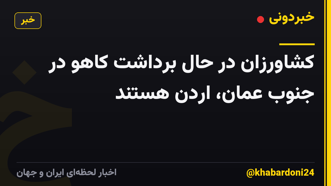 کشاورزان در حال برداشت کاهو در جنوب عمان، اردن هستند