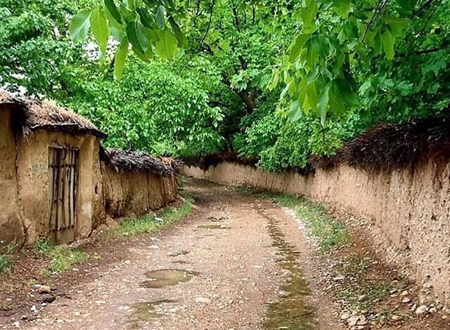 «خنکای شیراز»؛جشنوارهای برای صیانت باغهای قصردشت
