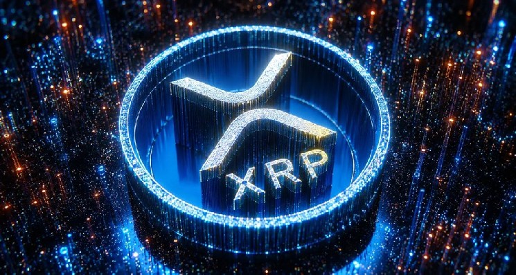 هشدار انتقادی یک چهره مشهور آمریکایی به سرمایه گذاران XRP: "دارایی های شما می تواند یک هدف باشد!"