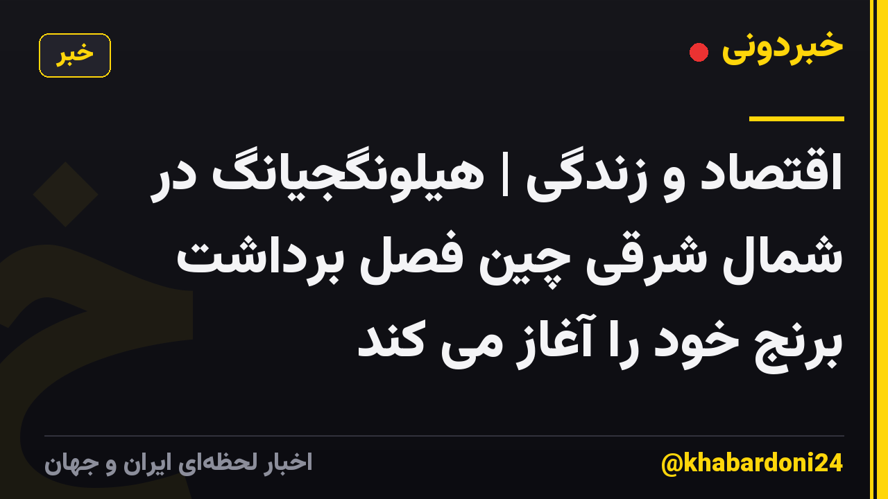 اقتصاد و زندگی | هیلونگجیانگ در شمال شرقی چین فصل برداشت برنج خود را آغاز می کند