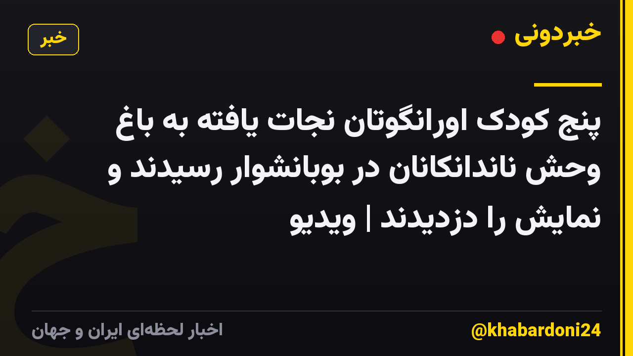 پنج کودک اورانگوتان نجات یافته به باغ وحش ناندانکانان در بوبانشوار رسیدند و نمایش را دزدیدند | ویدیو