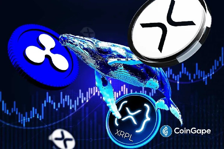 اخبار XRP: ریپل پی پال، کهنه سرباز گوگل را برای گسترش کسب و کار XRP Ledger استخدام می کند