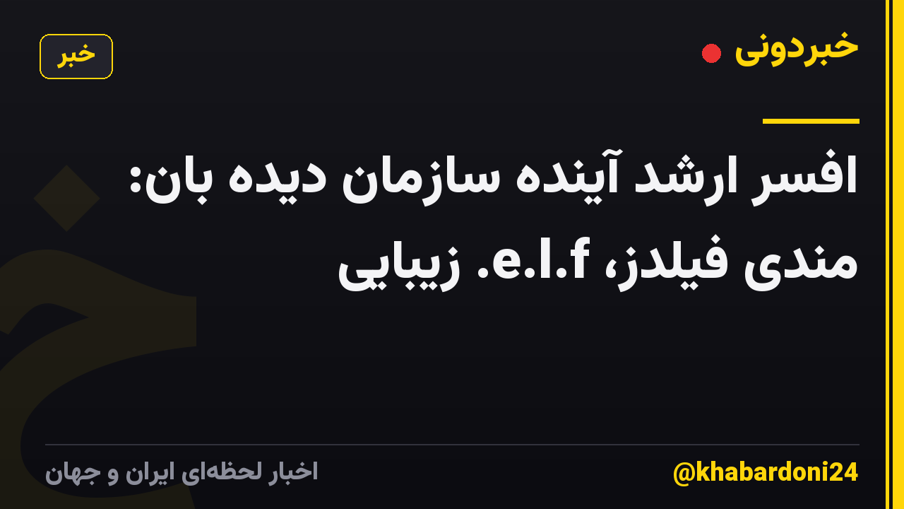 افسر ارشد آینده سازمان دیده بان: مندی فیلدز، e.l.f. زیبایی
