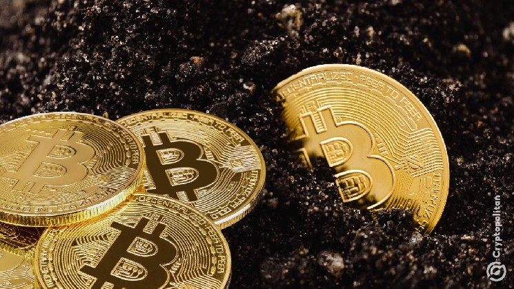 استخراجکنندگان بیتکوین با پیشروی صرافیها و شرکتهای استیبل کوین، این رالی را از دست میدهند