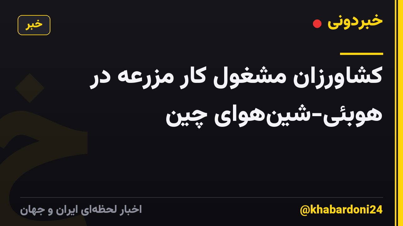 کشاورزان مشغول کار مزرعه در هوبئی-شینهوای چین
