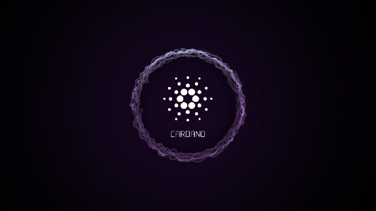 توسعه دهندگان Cardano (ADA) اعلان جدید مهمی ارائه می دهند