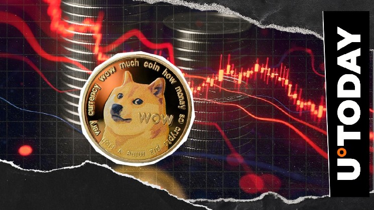 دوج کوین (DOGE) به شدت ضربه می‌زند: 2691% انحلال، عدم تعادل بازار