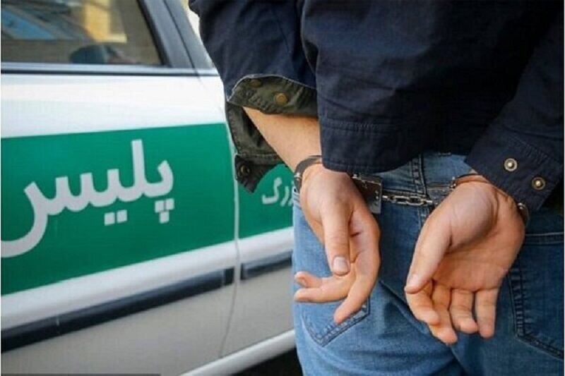 دستگیری بچهپولدار در باند سرقت