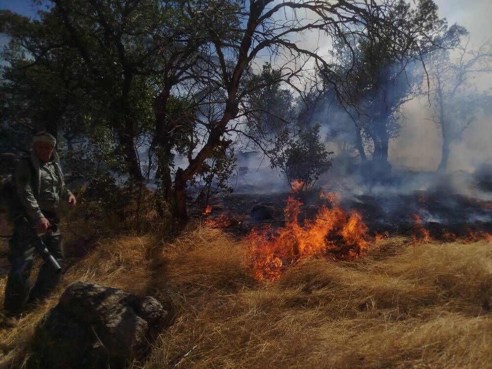 آتش‌سوزی ساحل روستای رشکان در پارک ملی دریاچه ارومیه مهار شد