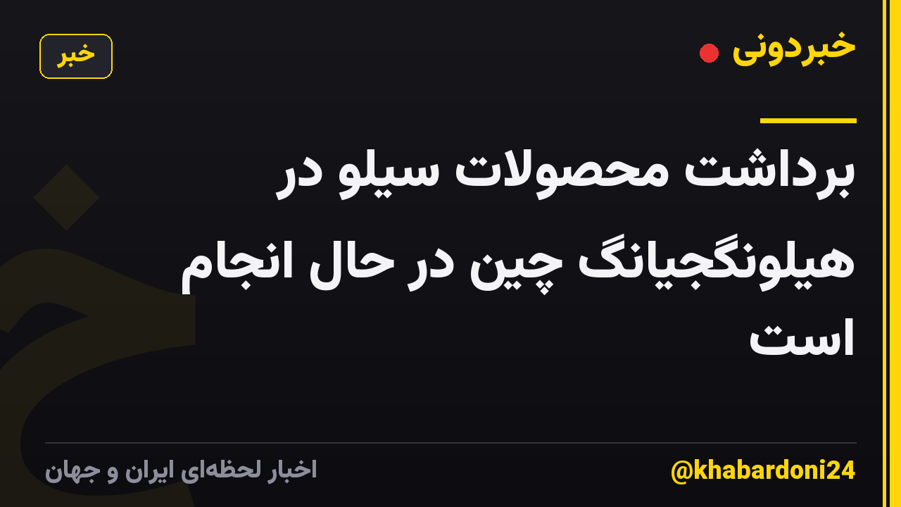 برداشت محصولات سیلو در هیلونگجیانگ چین در حال انجام است