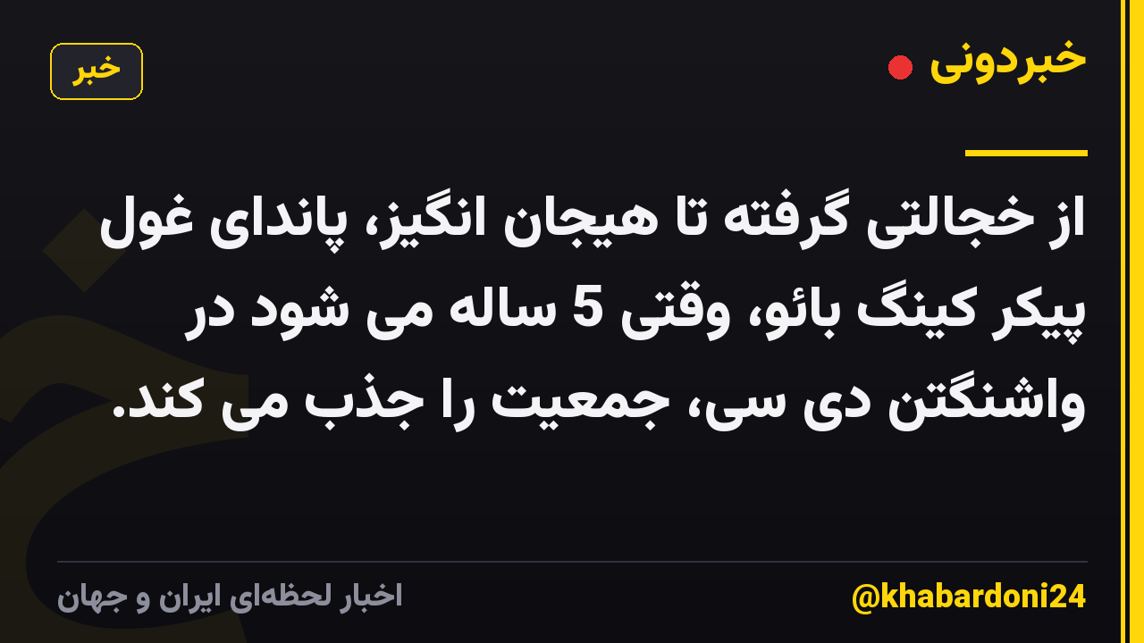 از خجالتی گرفته تا هیجان انگیز، پاندای غول پیکر کینگ بائو، وقتی 5 ساله می شود در واشنگتن دی سی، جمعیت را جذب می کند.