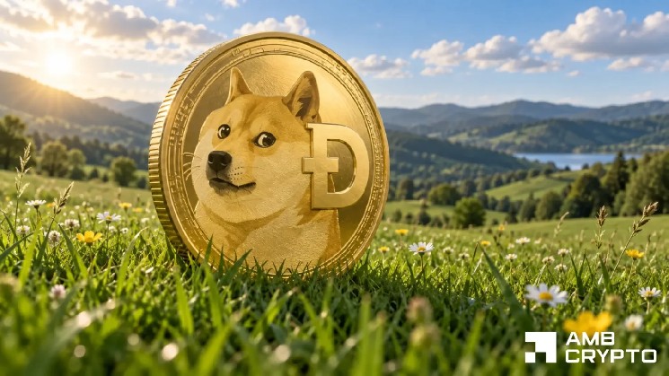 قیمت Dogecoin 3٪ افزایش می یابد - اما 0.09 دلار هنوز در راه است