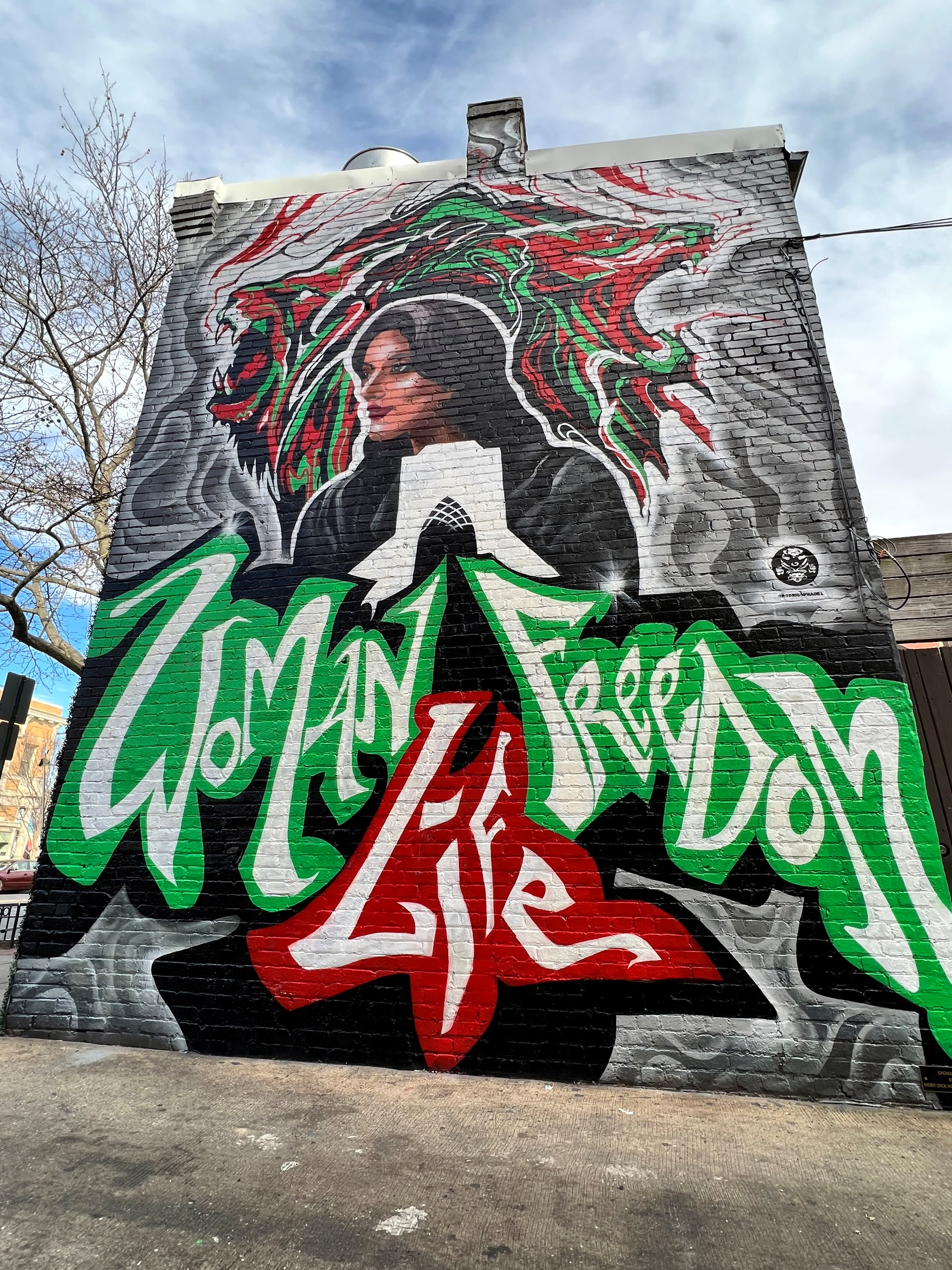 "زنان، زندگی، آزادی" بازماندگان قیام ایران در سالگرد درگذشت مهسا امینی را گرامی داشتند.