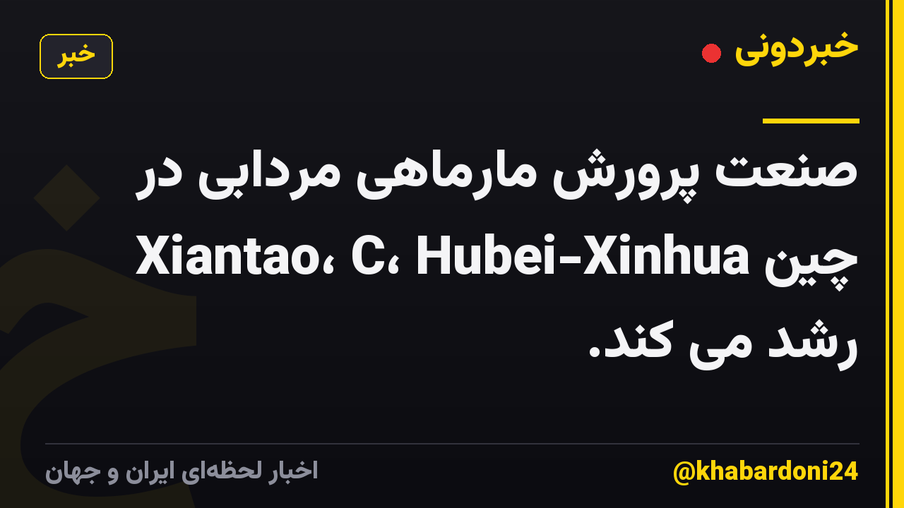 صنعت پرورش مارماهی مردابی در Xiantao، C، Hubei-Xinhua چین رشد می کند.