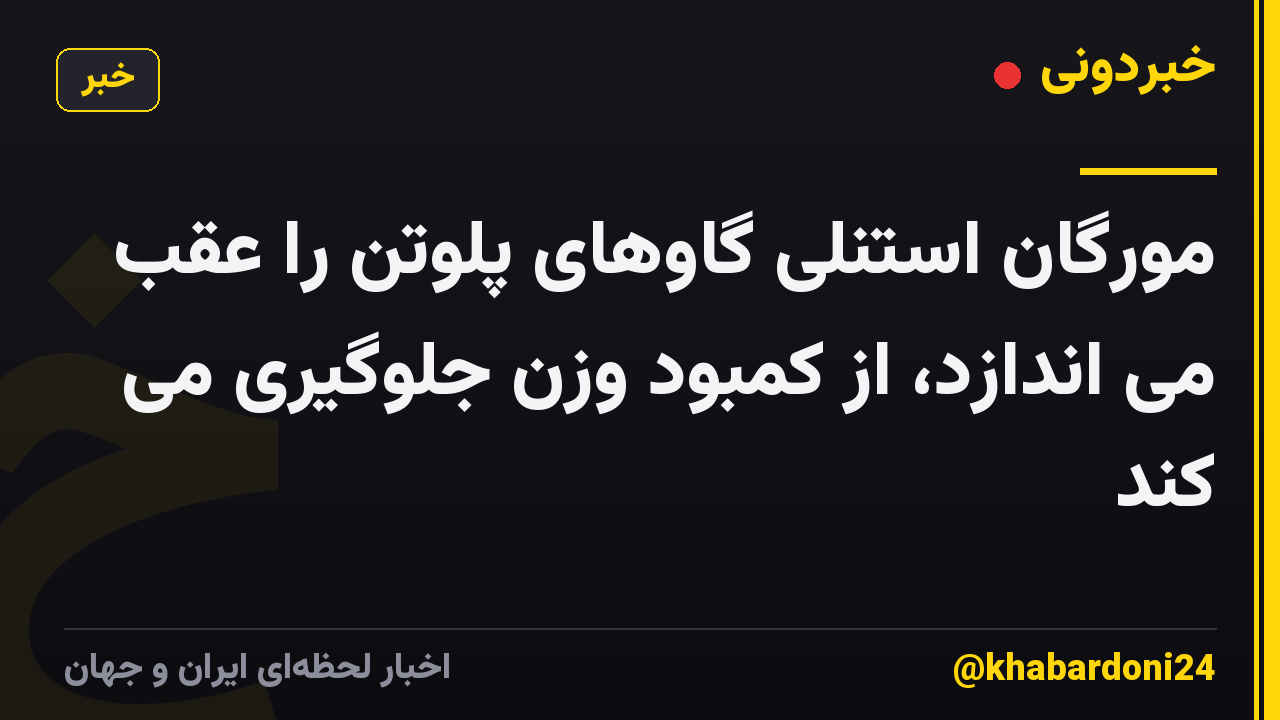 مورگان استنلی گاوهای پلوتن را عقب می اندازد، از کمبود وزن جلوگیری می کند