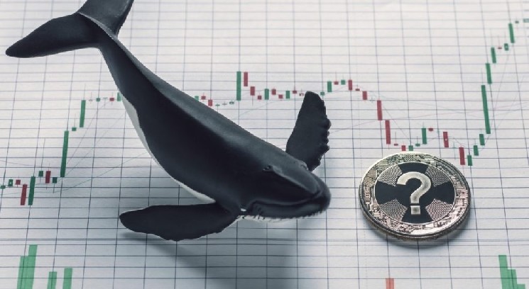 فعالیت نهنگ در بیت کوین و آلت کوین پس از تصمیم FED! در اینجا جزئیات و آلت کوین هایی که آنها معامله می کنند آمده است
