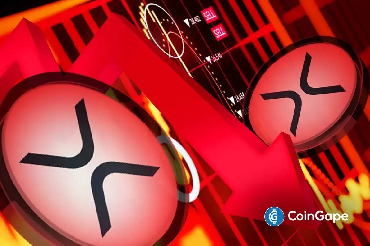 XRP پرچم قرمز بزرگی را برای سرمایه گذار دبی ایجاد می کند: "من هرگز در ریپل سرمایه گذاری نمی کنم"