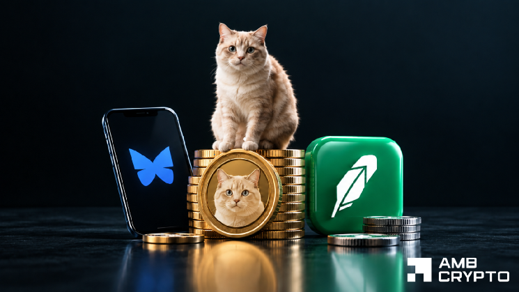 CASHCAT با رشد ابزار DeFi 32 درصد افزایش یافت - آیا اصلاح به پایان رسیده است؟