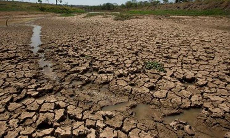 جنوب هند سریعترین خشک شدن سواحل شرقی میزبان خشکسالی های پایدار است: مطالعه