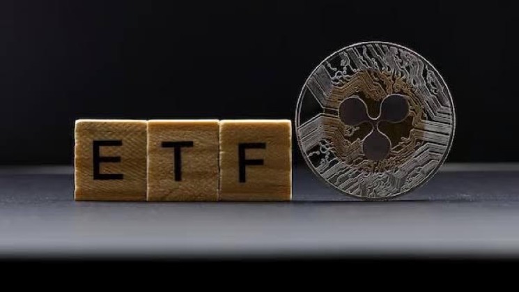 اولین ETF XRP ایالات متحده پس از از دست دادن 60٪ از زمان عرضه، یک ساله می شود