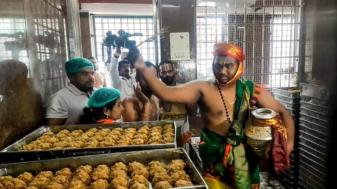Tirupati Laddu Prasadam Ghee روغن پالم، مواد شیمیایی داشت، ED میگوید مروج تامینکننده دستگیر شد