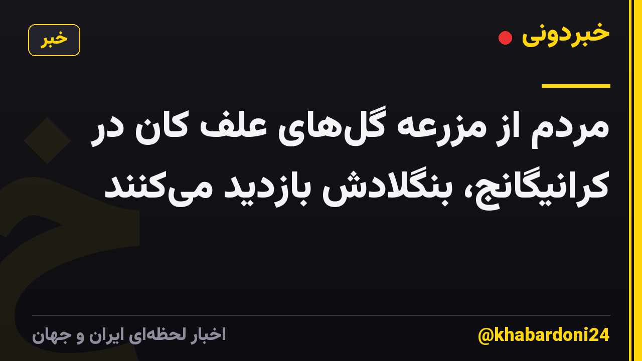 مردم از مزرعه گلهای علف کان در کرانیگانج، بنگلادش بازدید میکنند